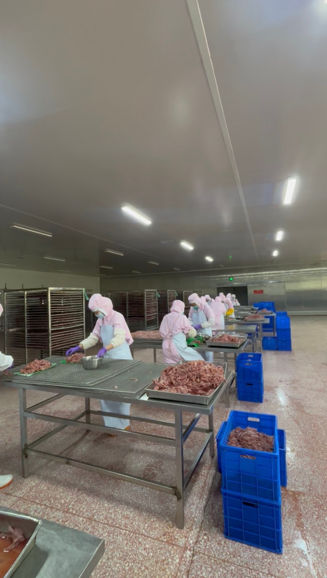 HAVENPET 洁净车间分拣工序